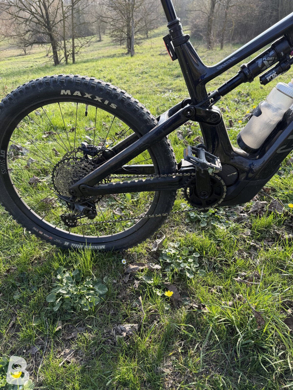 Canyon Spettral-on Cf8 2023