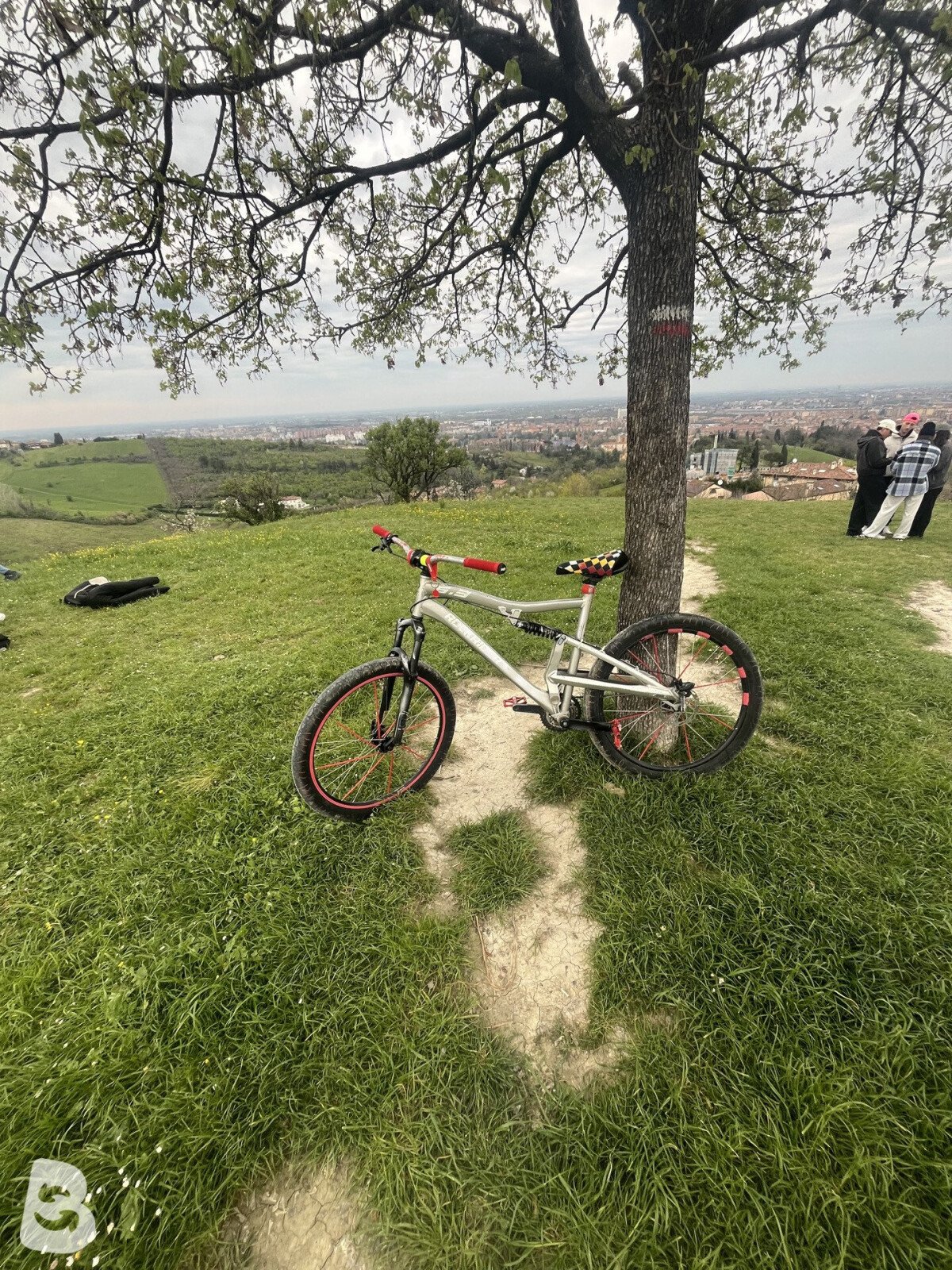 Rockrider .