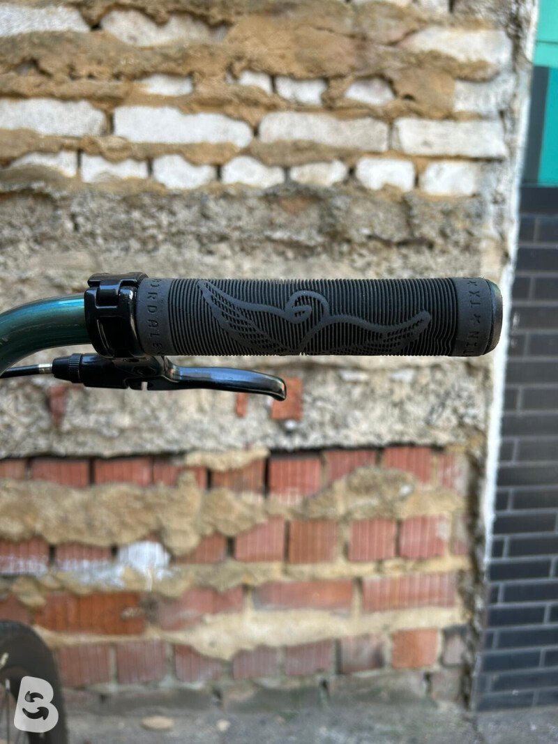 Fairdale Bikes TAJ 2026