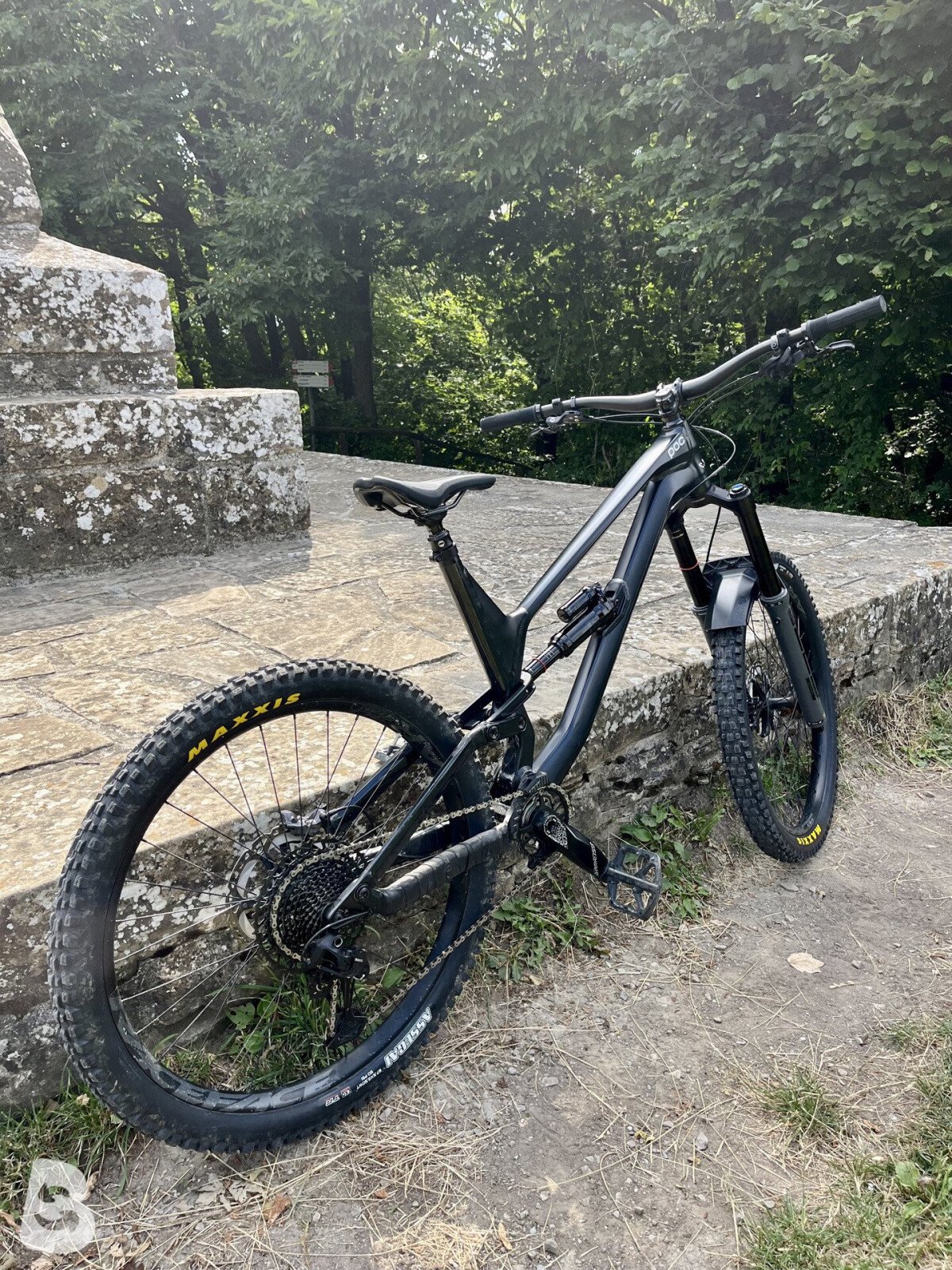 Canyon Torque AL 5.0 2020