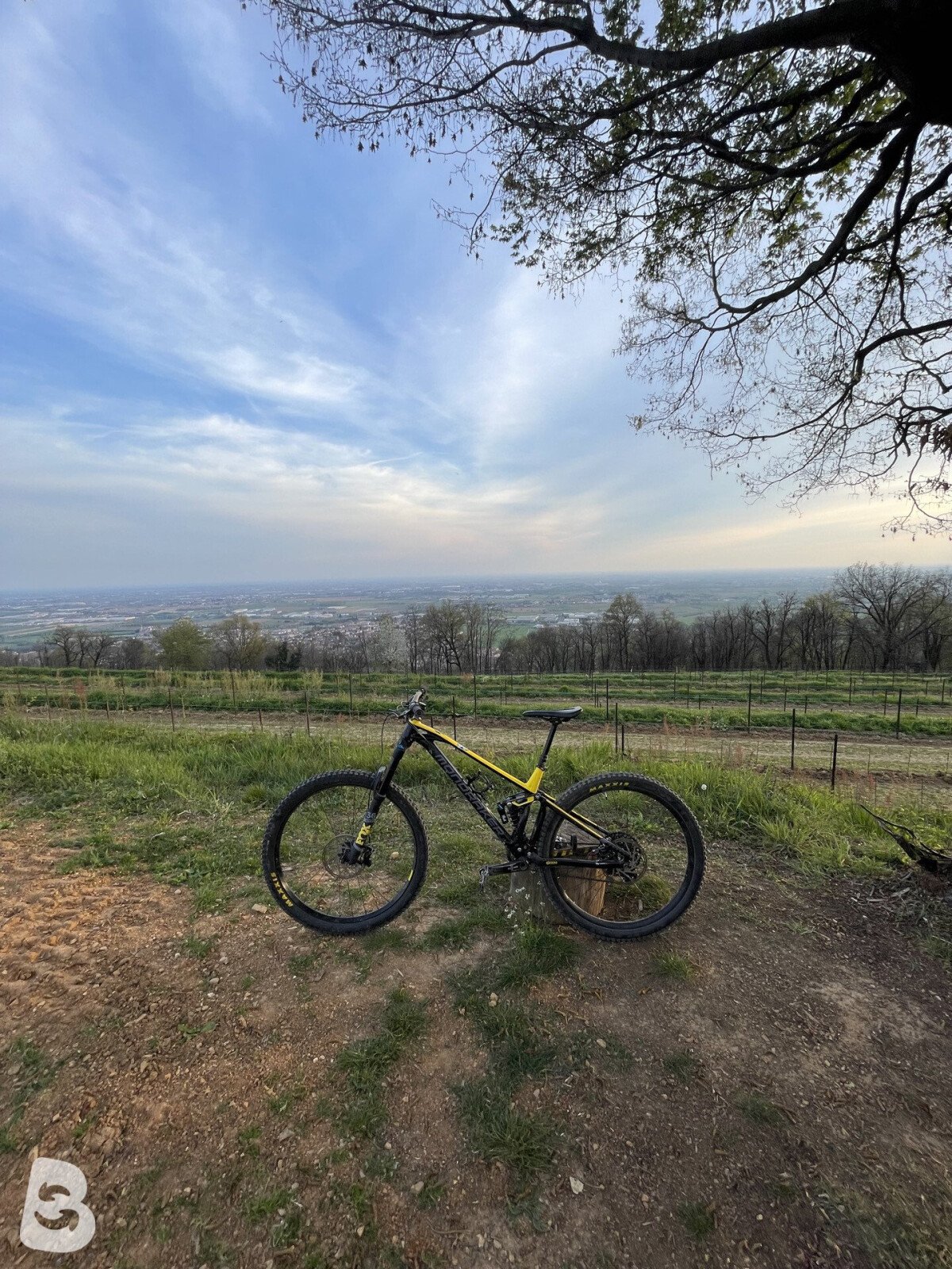Mondraker Foxy 2021
