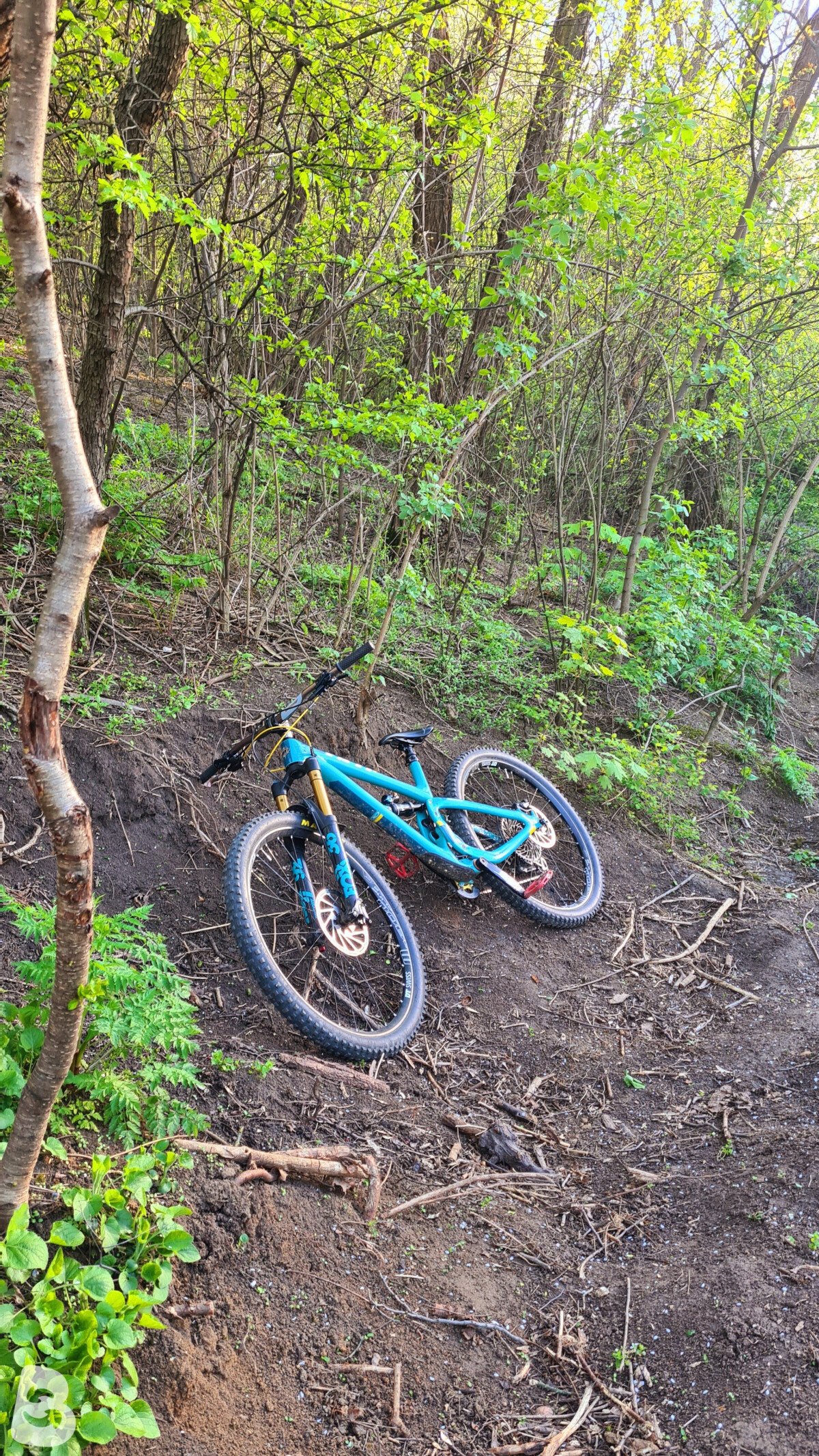 Yeti Sb5.5 2019
