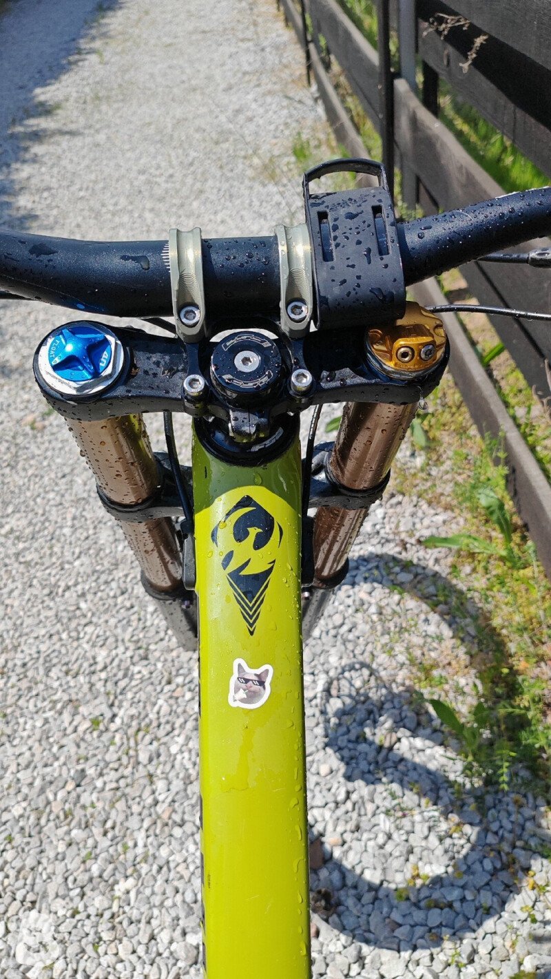 Pivot Phoenix Carbon