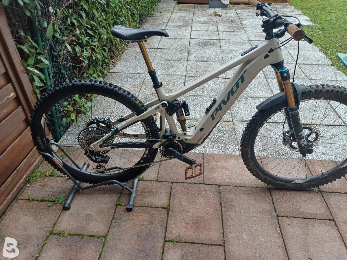 Pivot Shuttle Am XX 2024