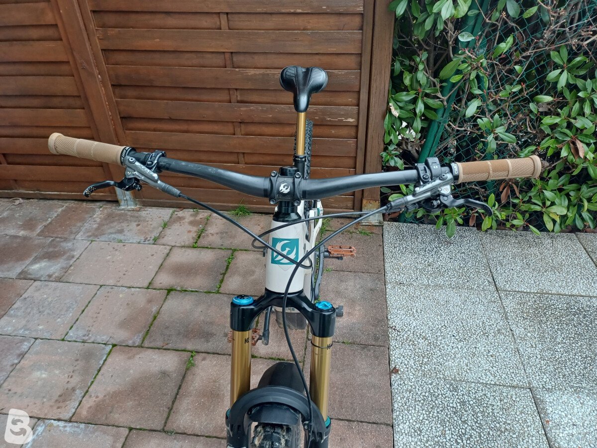 Pivot Shuttle Am XX 2024