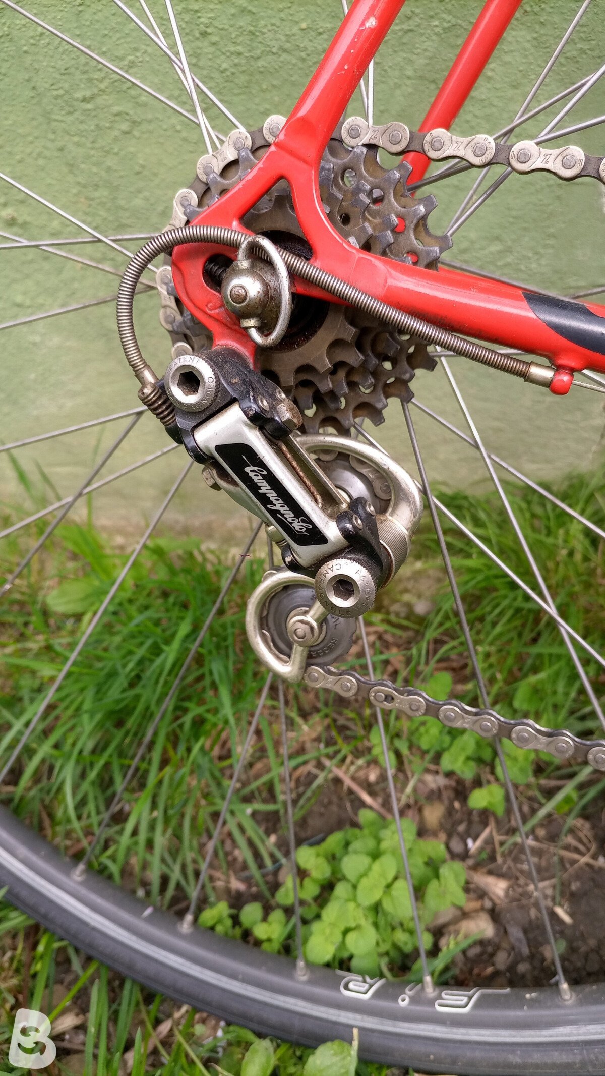 Colnago Mexico 1983