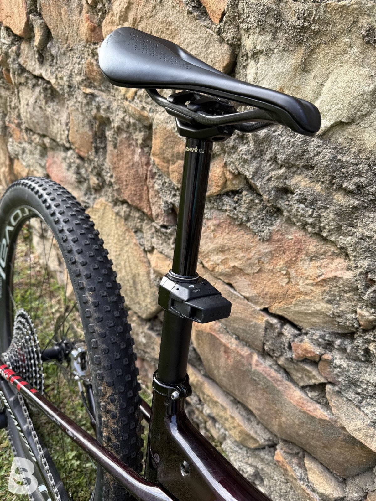 Specialized World Cup Sworks 2024