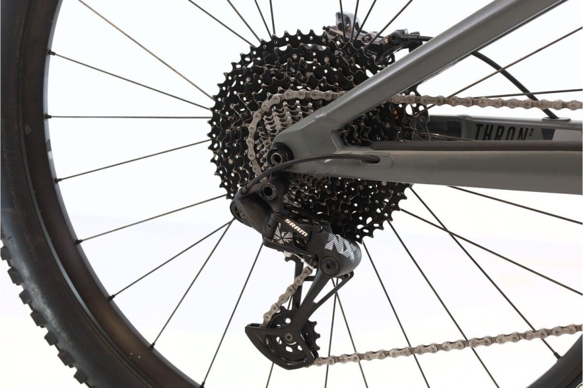 Focus Thron 2 6.7 2021
