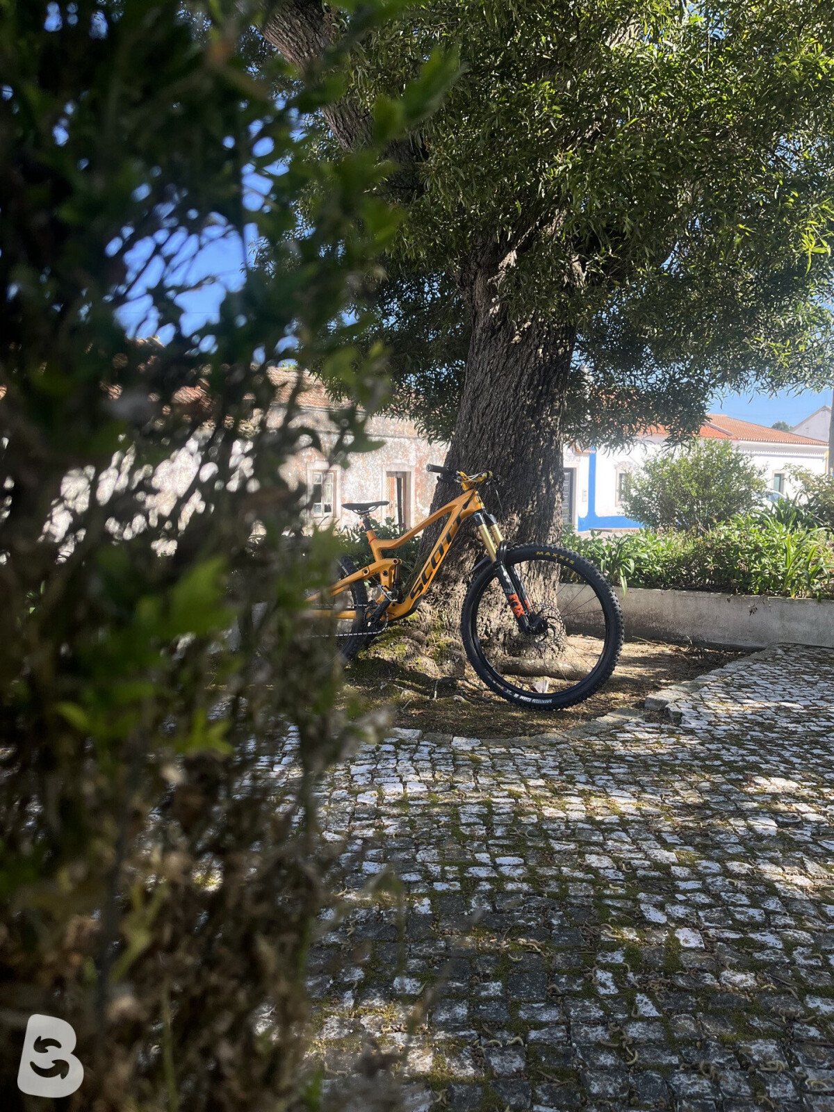 Scott Ransom 900 Tuned 2020