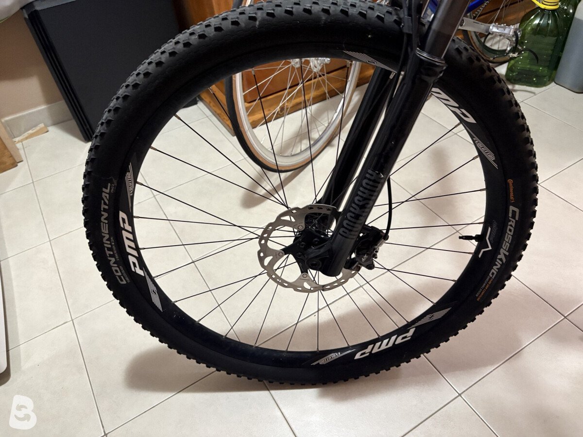 Focus Raven 8.7 2019
