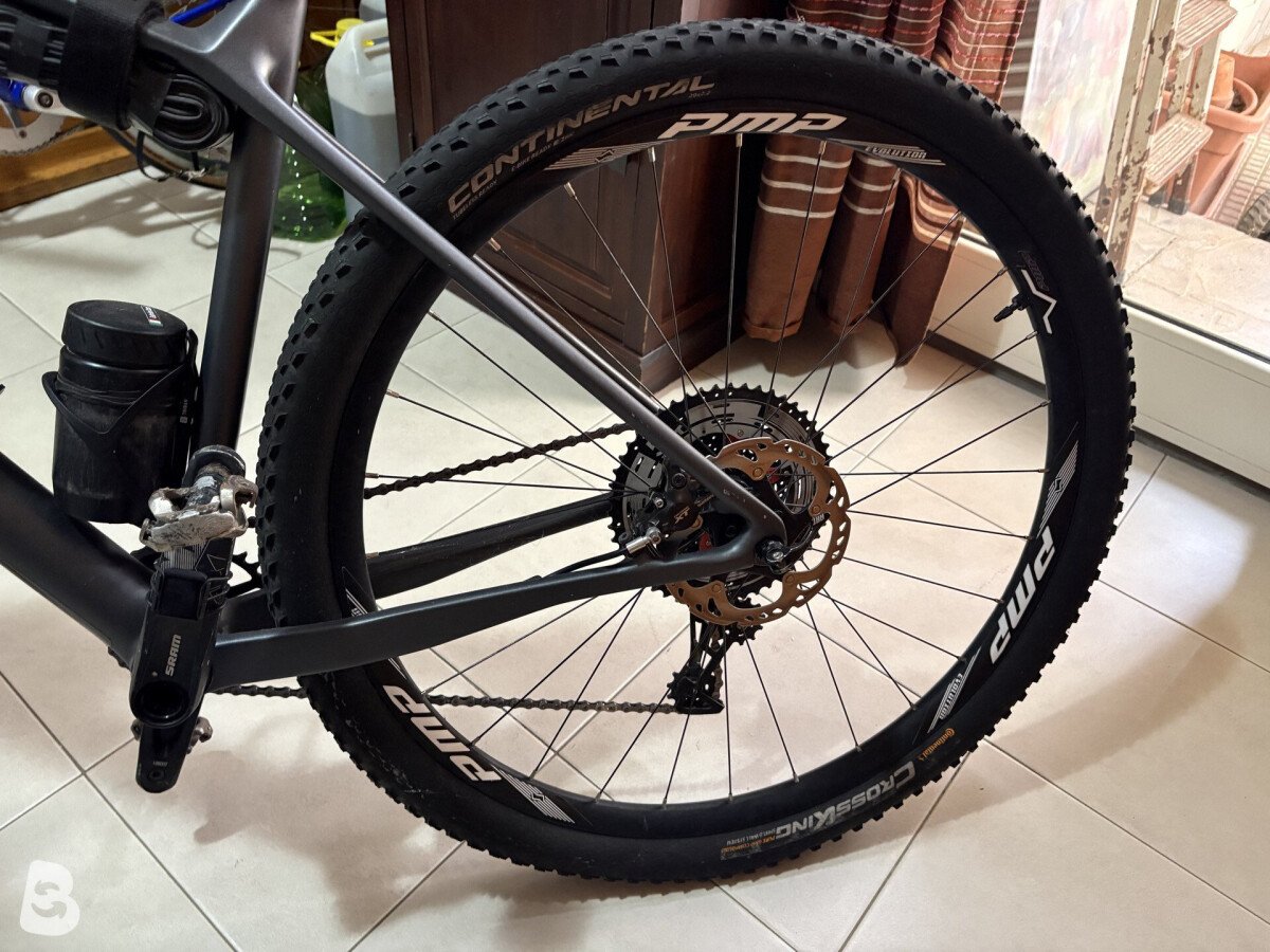 Focus Raven 8.7 2019