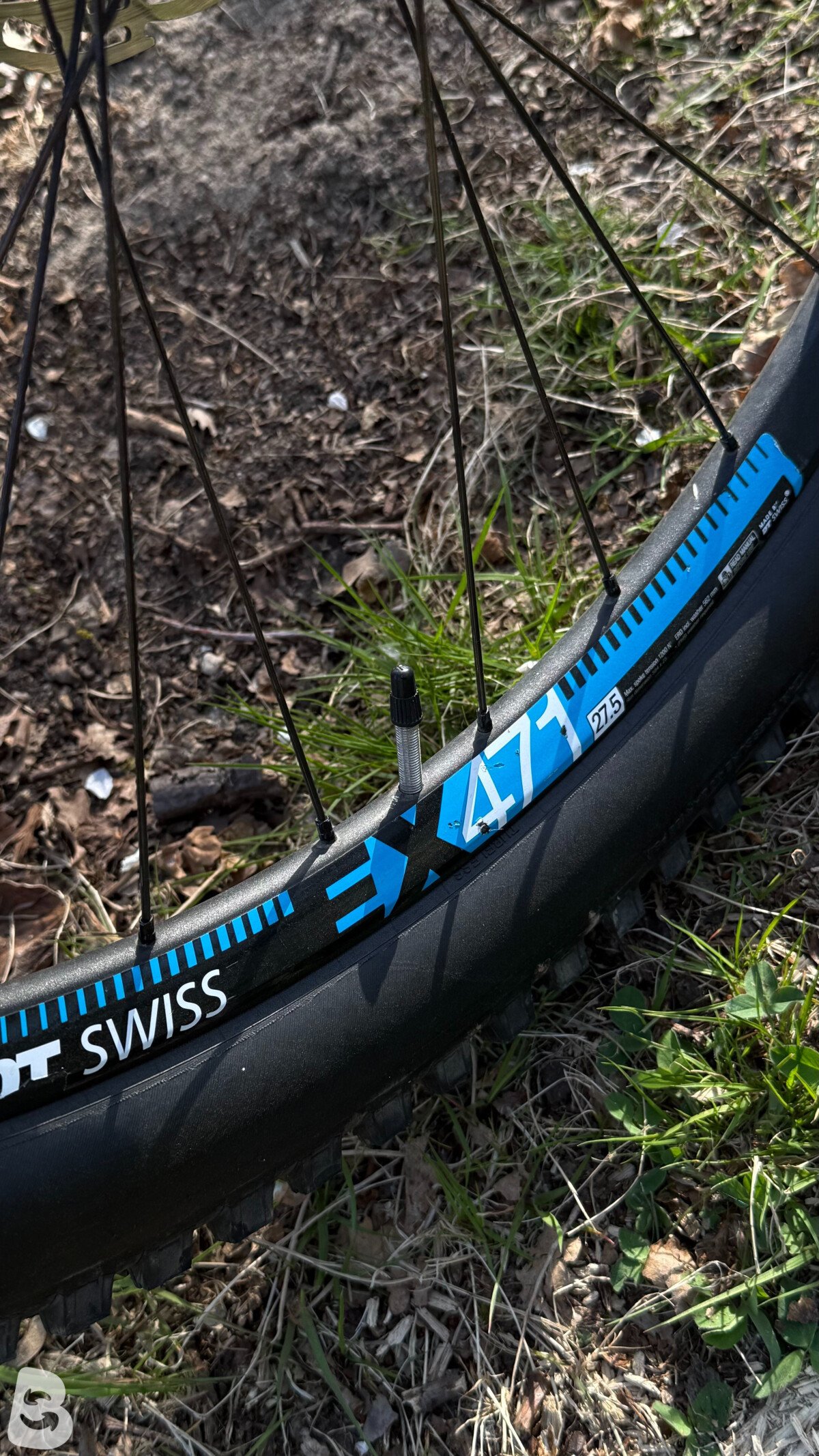 Specialized Demo 2019