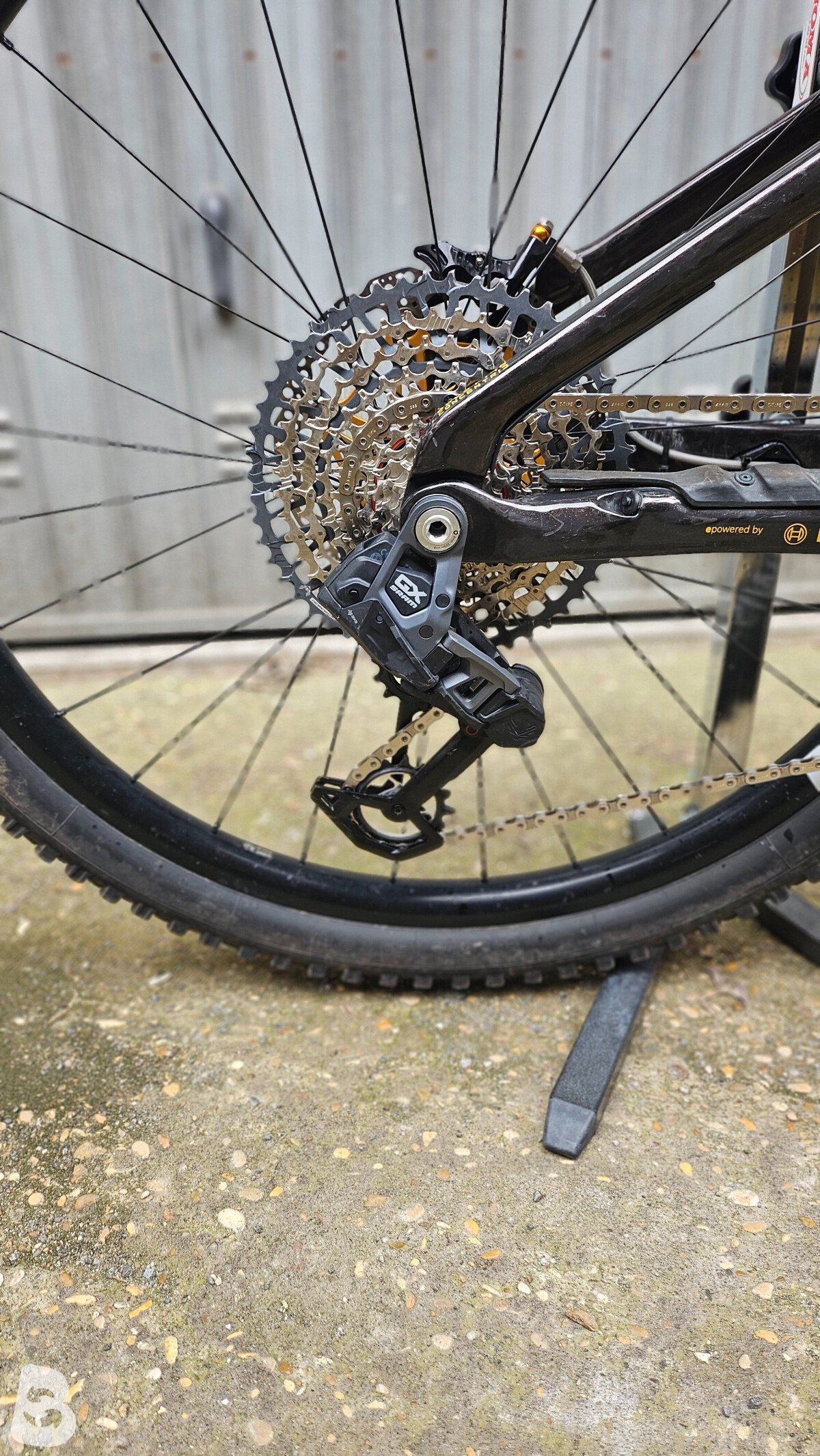 Orbea Wild M10 2024