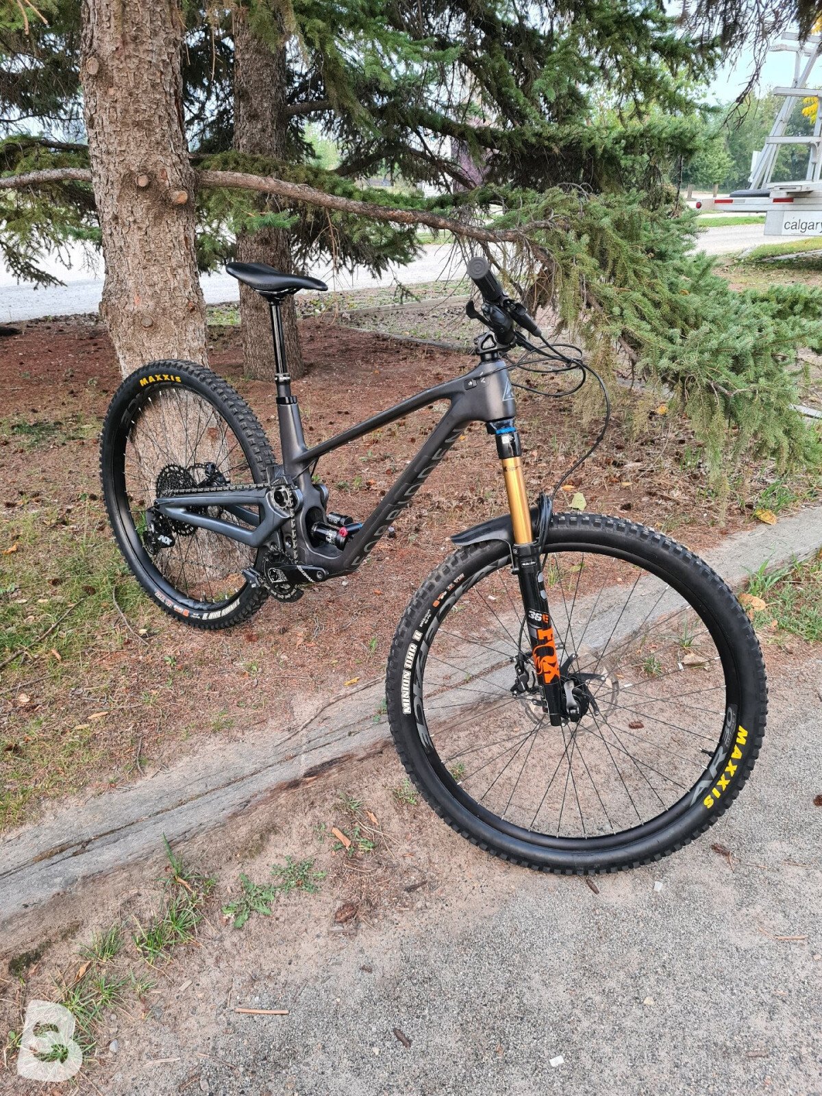 Forbidden Druid V1 2021