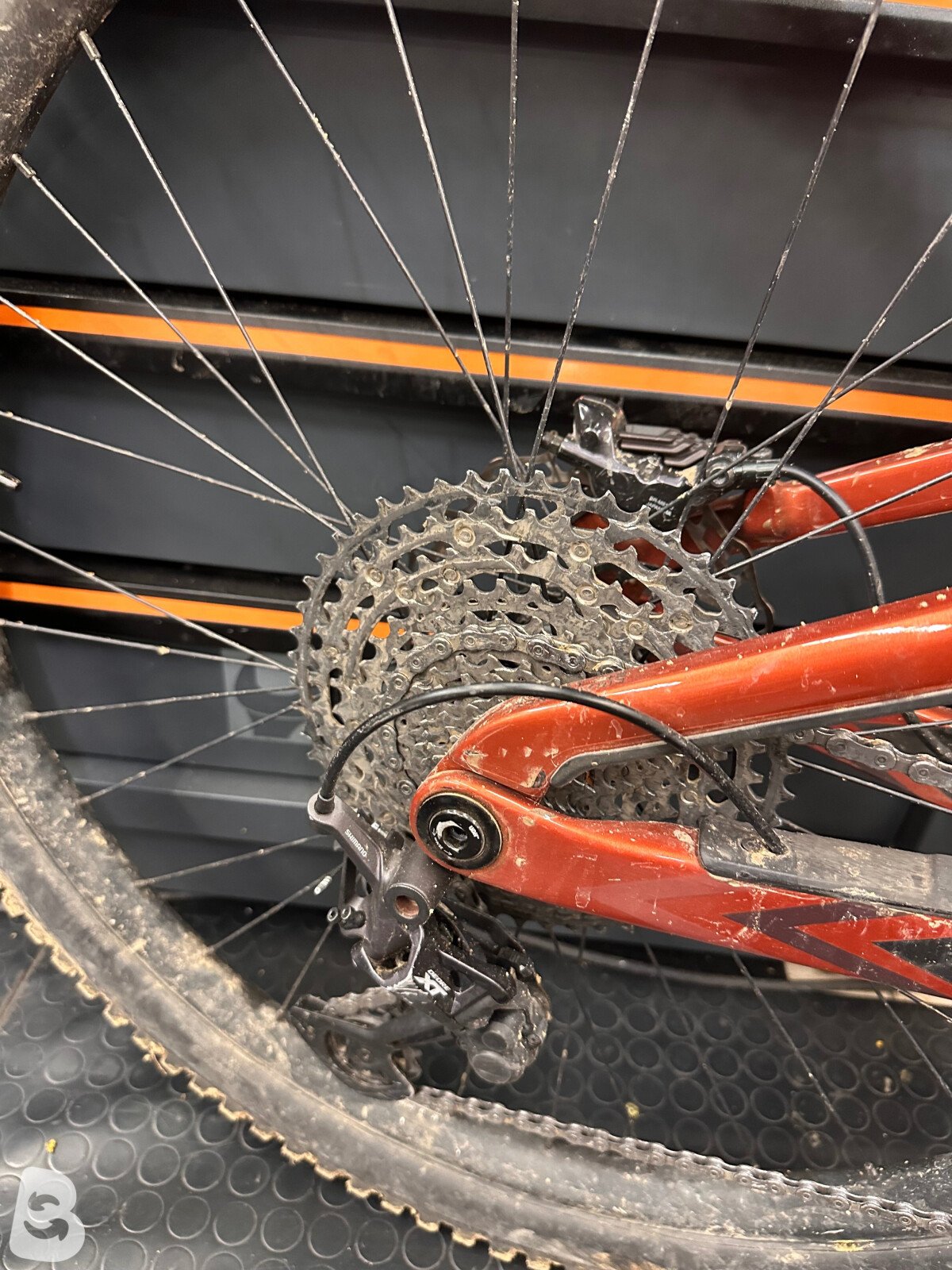 Orbea Rallon M10 2024