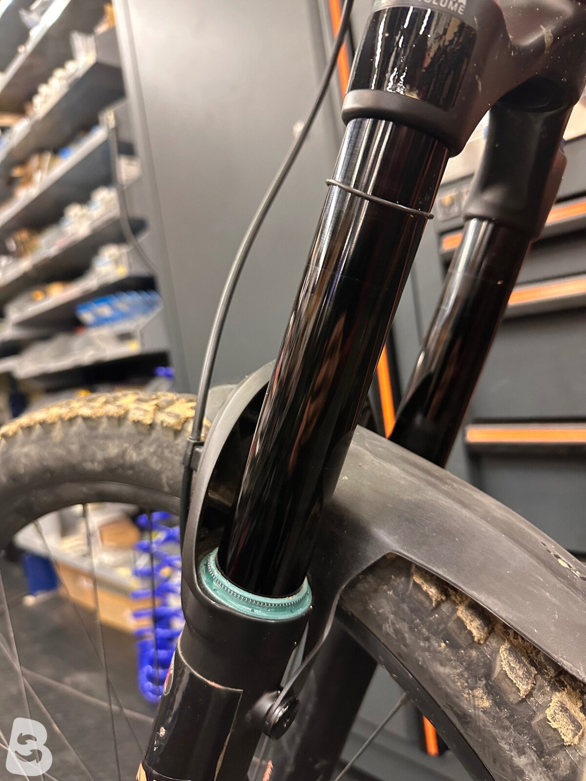 Orbea Rallon M10 2024