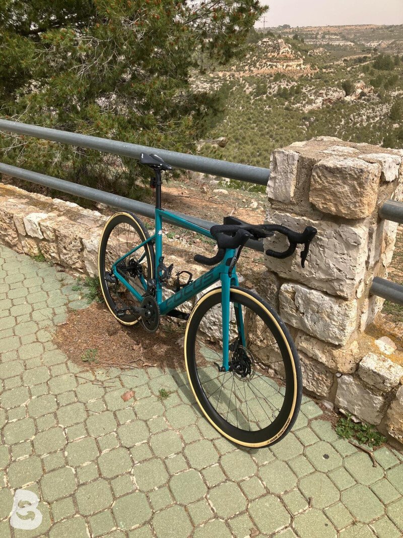 Focus IZALCO MAX DISC 9.9 2022