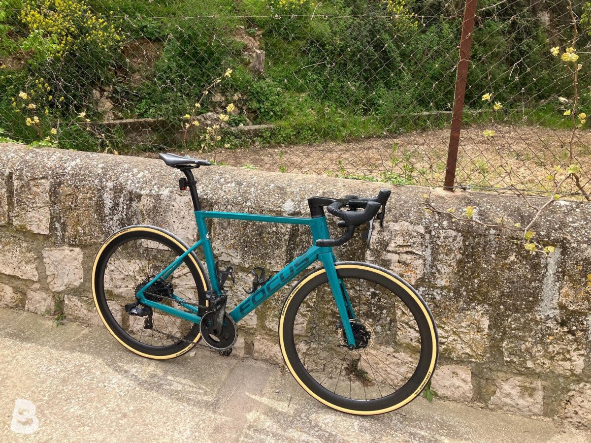 Focus IZALCO MAX DISC 9.9 2022