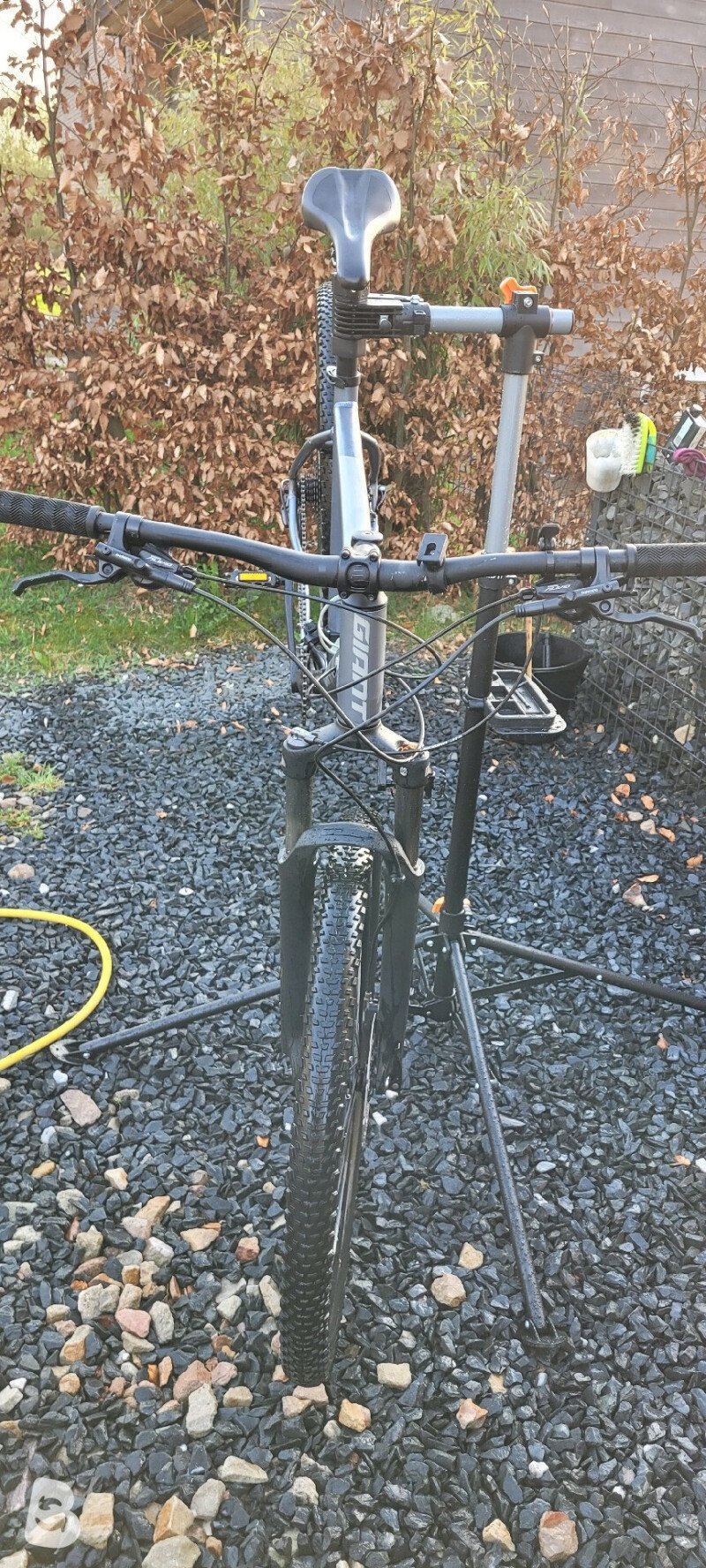 Giant Talon 1 2023