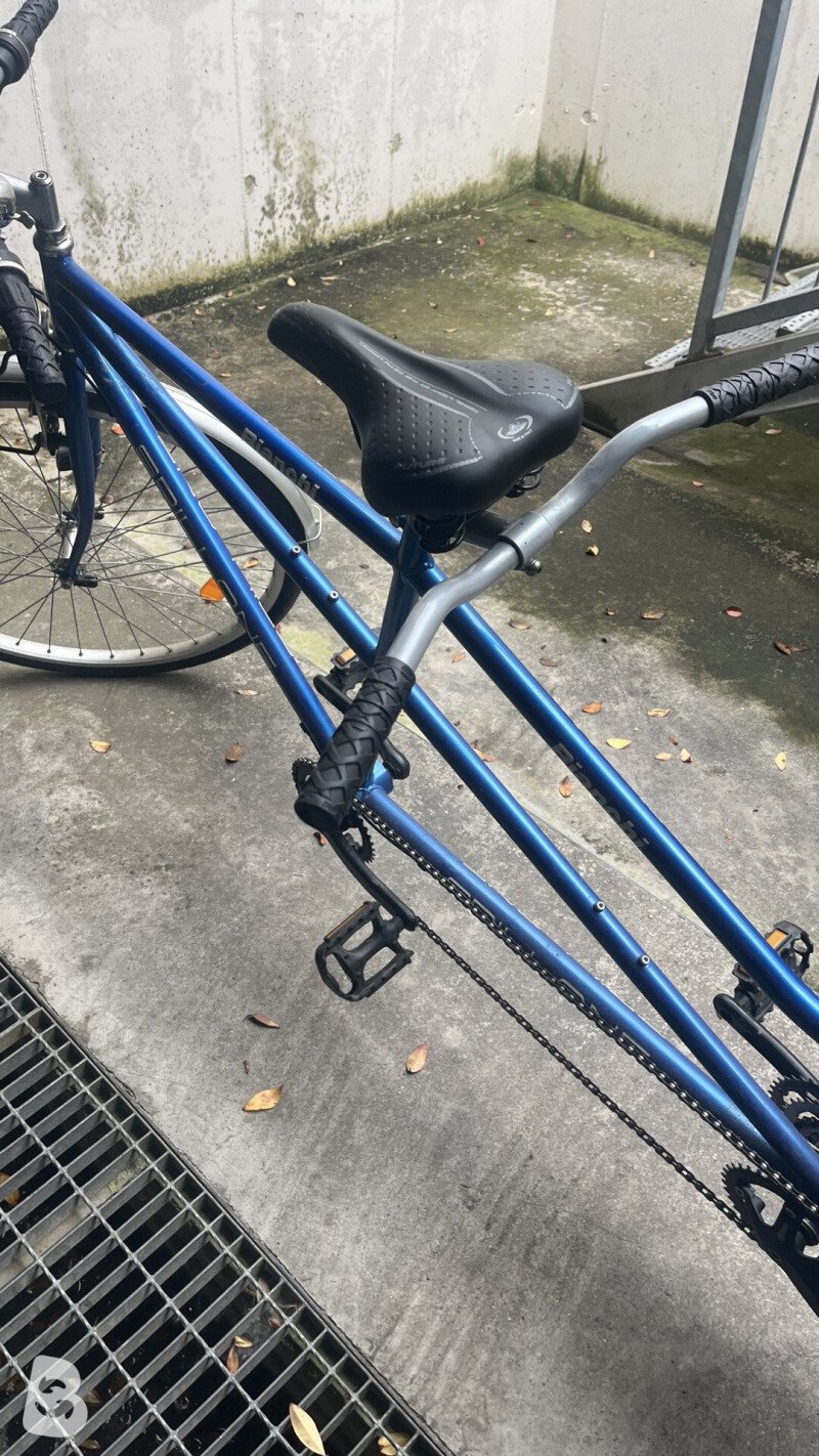Bianchi Spillone Tandem 2000