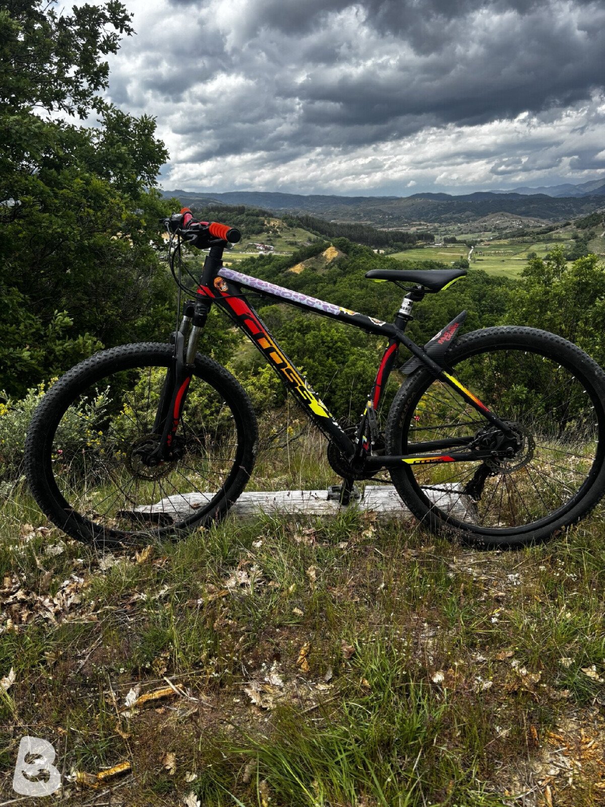 Cross GRX 2022