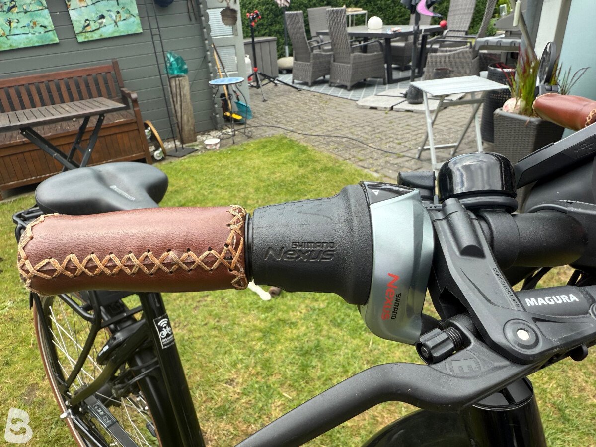 Riese & Müller Swing3 Urban Rücktritt TESTRA 2021