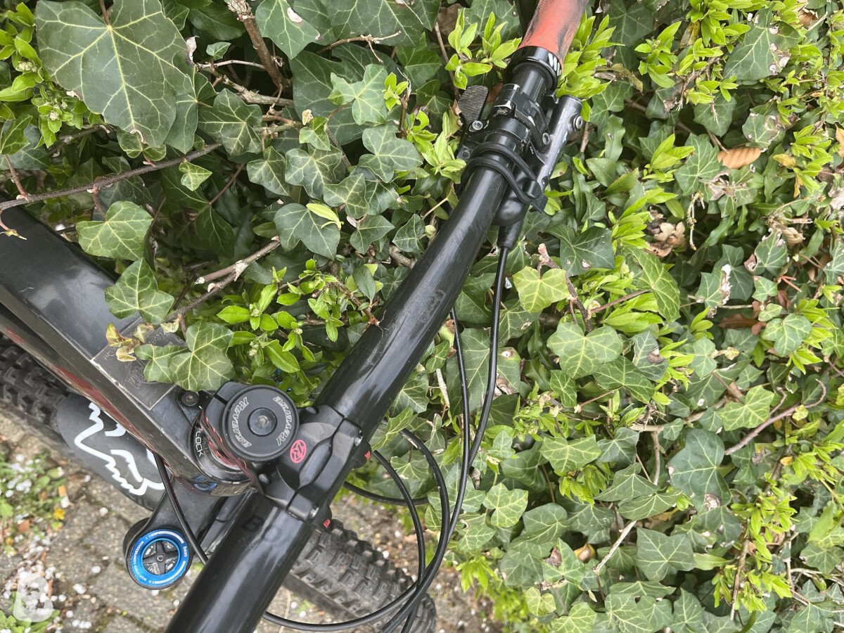 Trek Feul Ex 2021