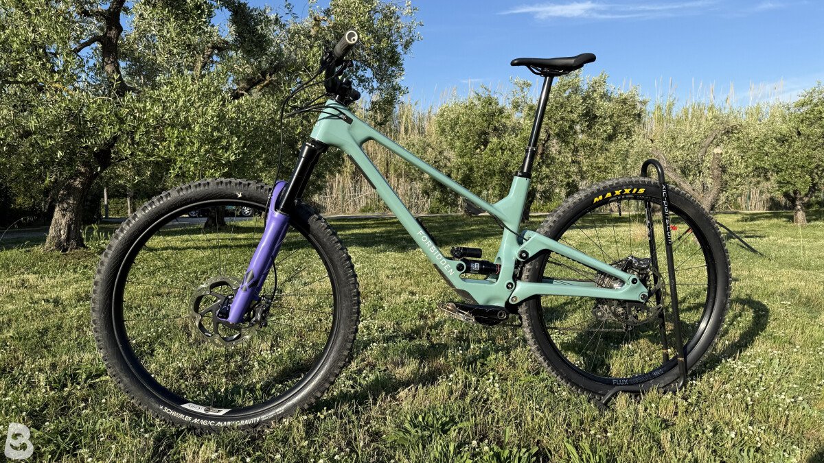 Forbidden Druid v2 XT RS Ultimate 2023