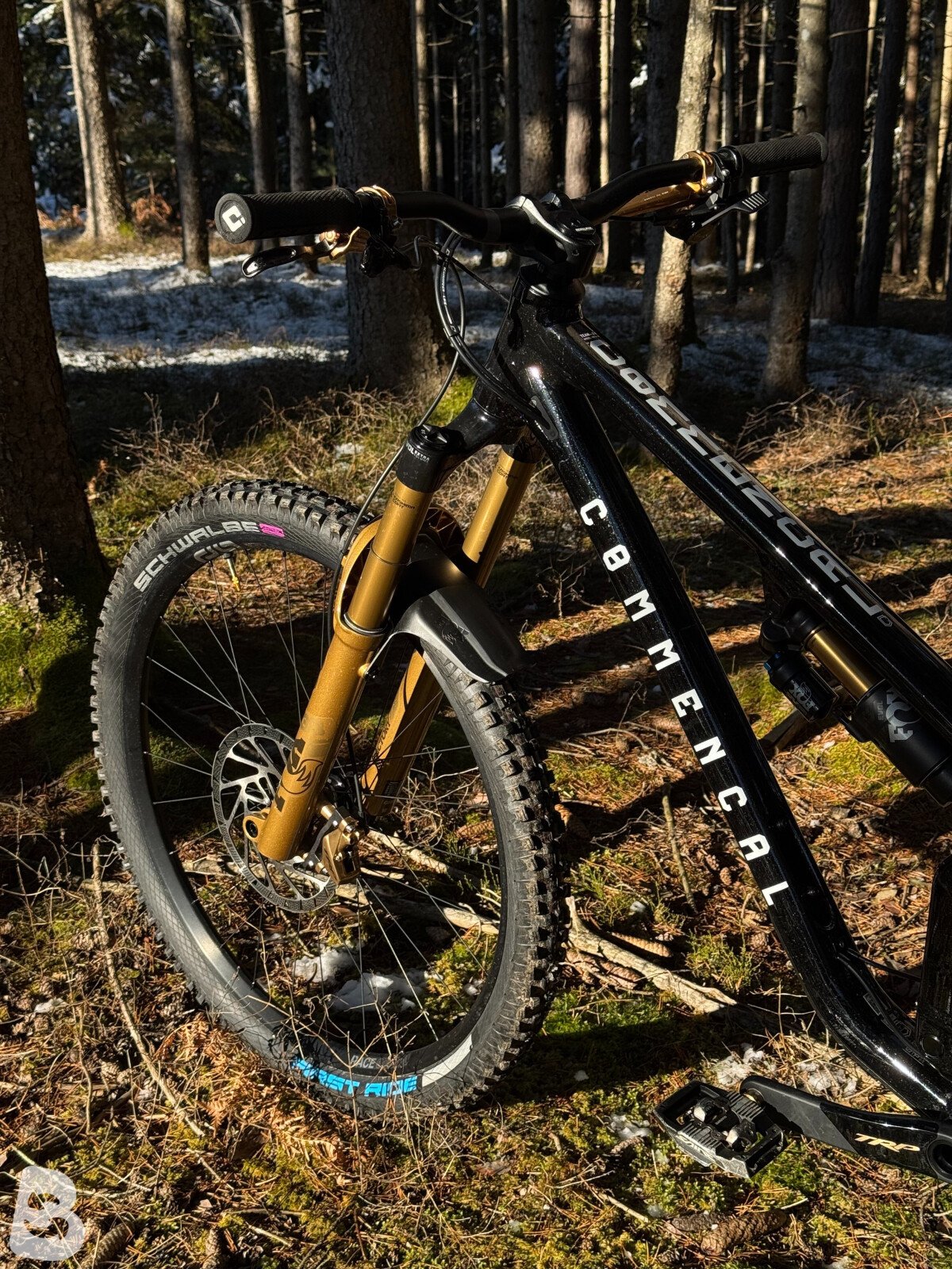 Commencal Meta SX V5 Team 2024
