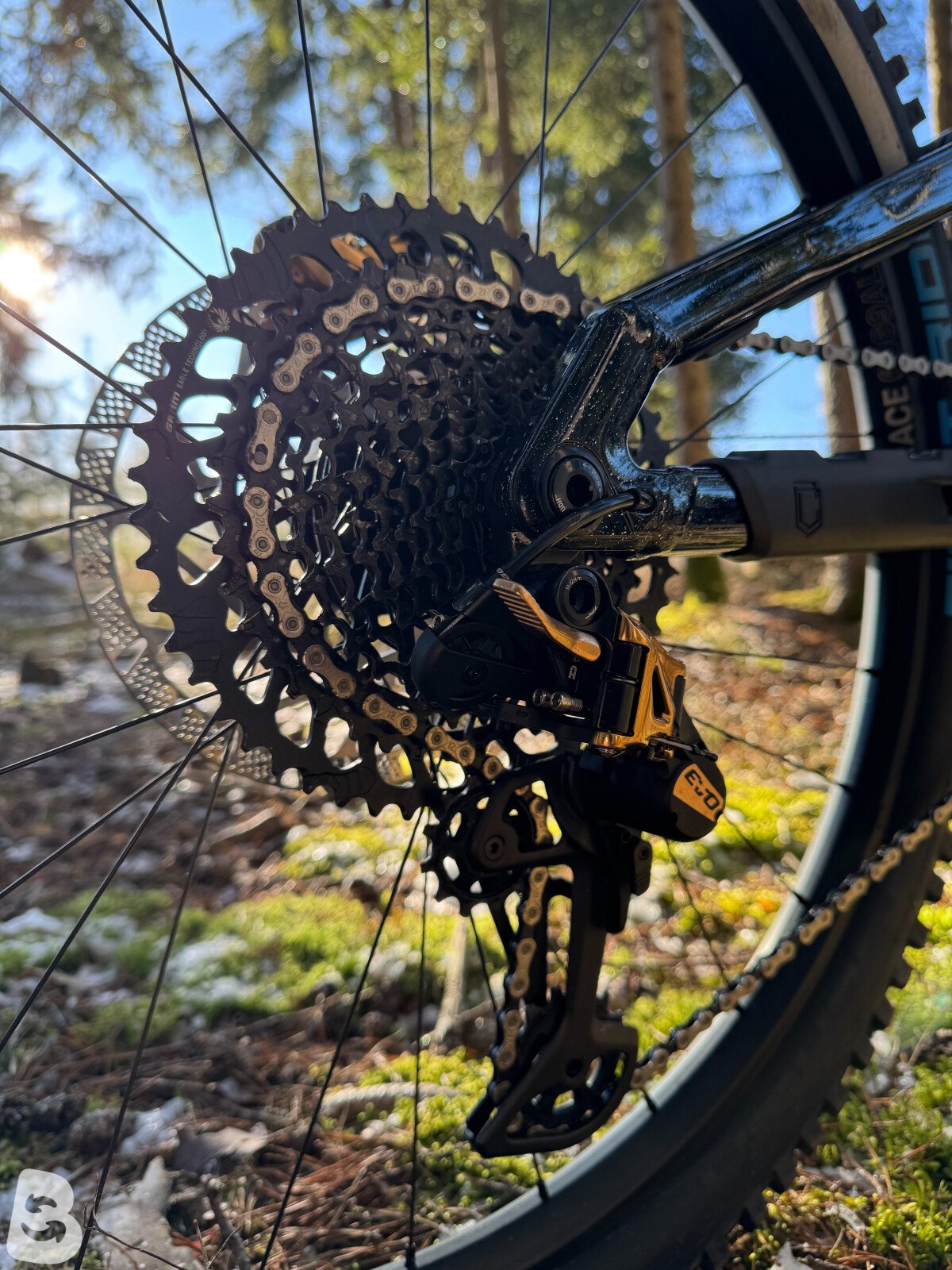 Commencal Meta SX V5 Team 2024