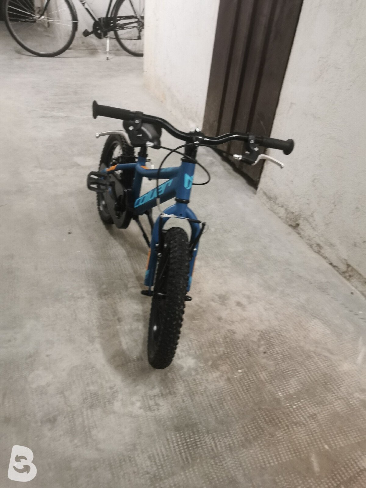 Coluer Rider 16 2022
