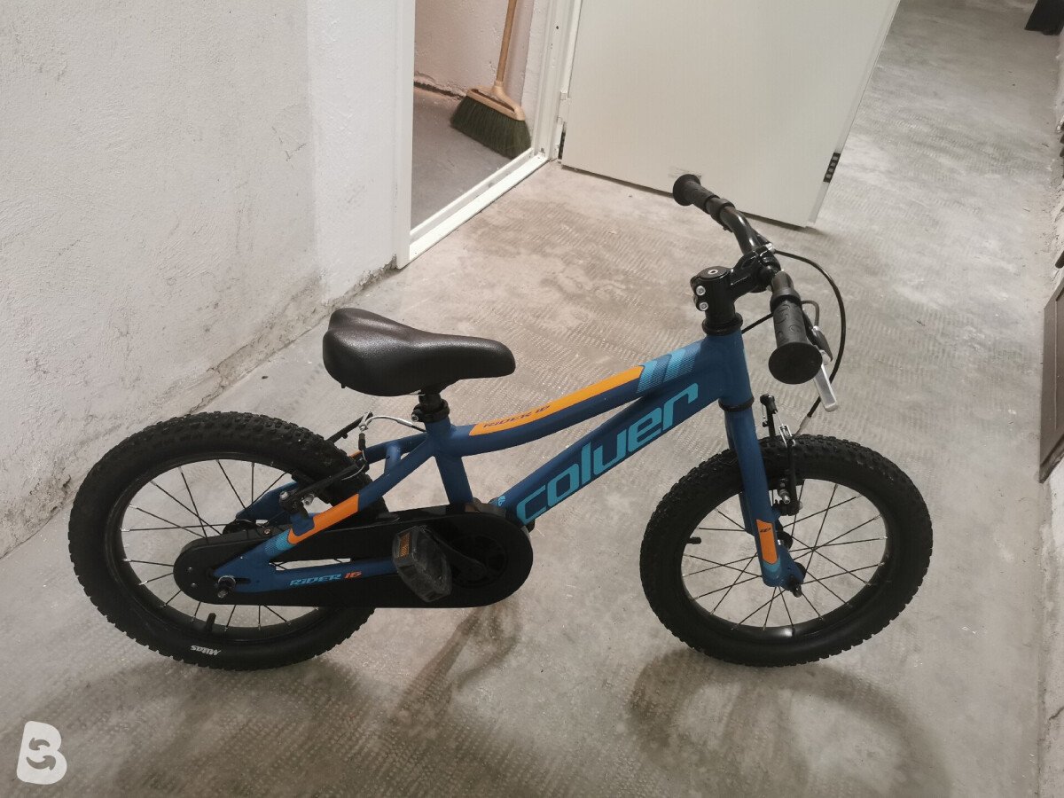 Coluer Rider 16 2022