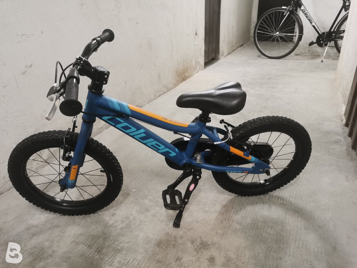 Coluer Rider 16 2022