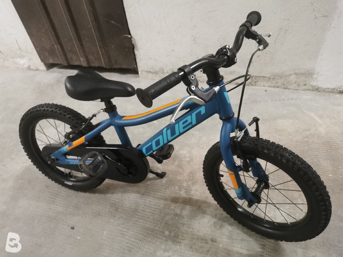 Coluer Rider 16 2022