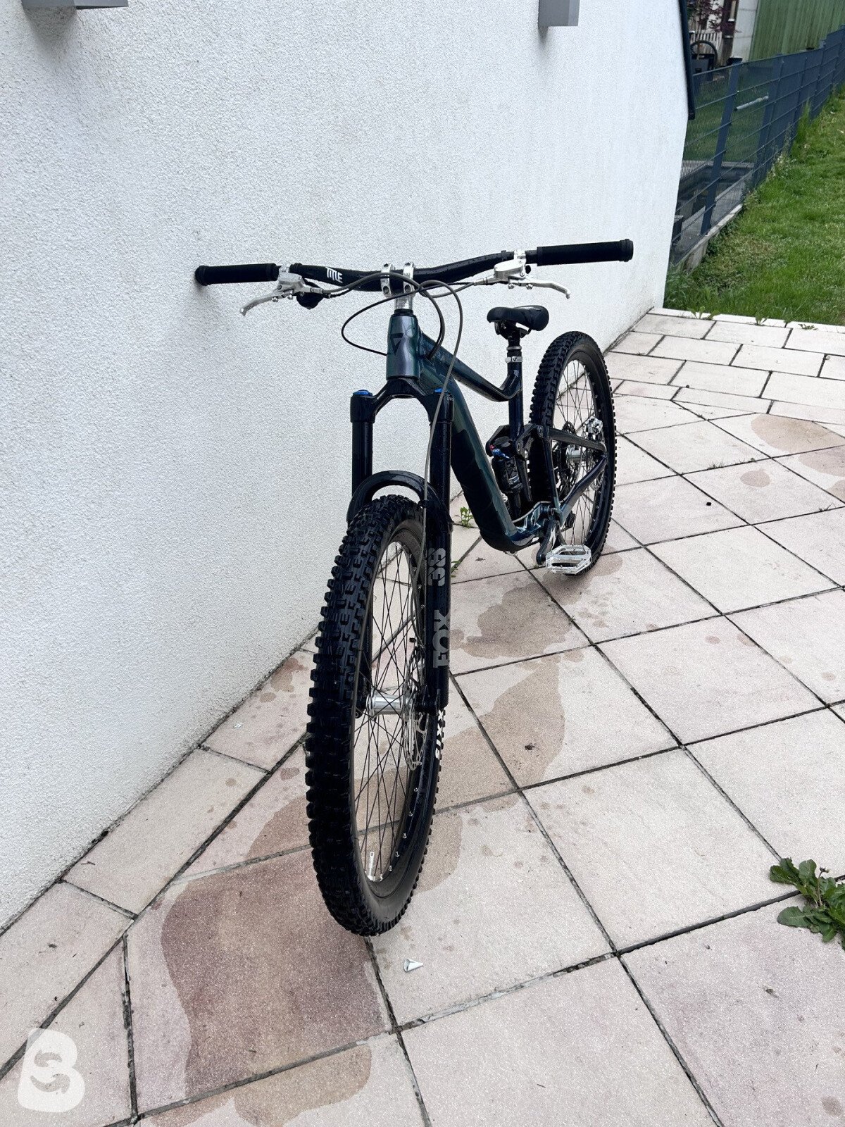 Giant Reign 1 2023