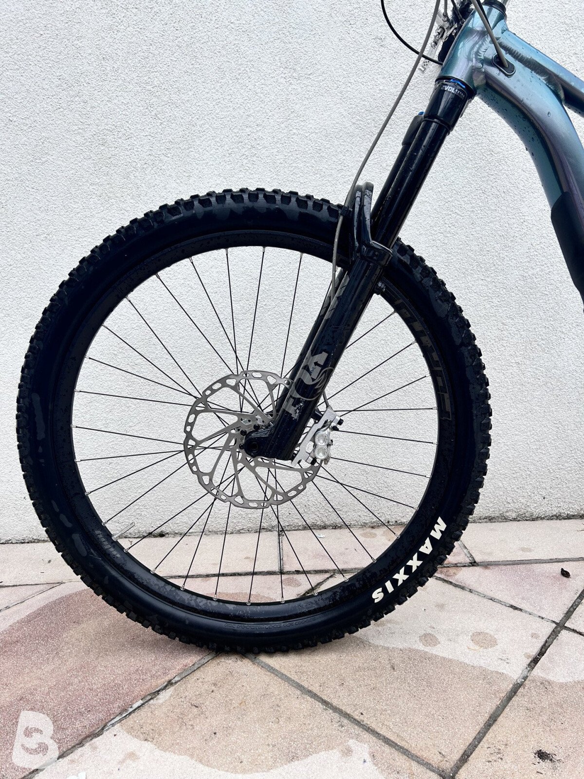 Giant Reign 1 2023