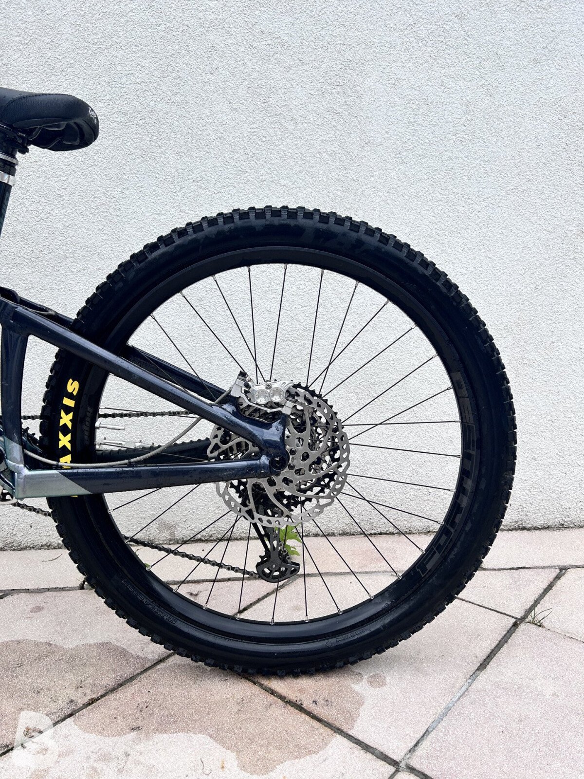 Giant Reign 1 2023