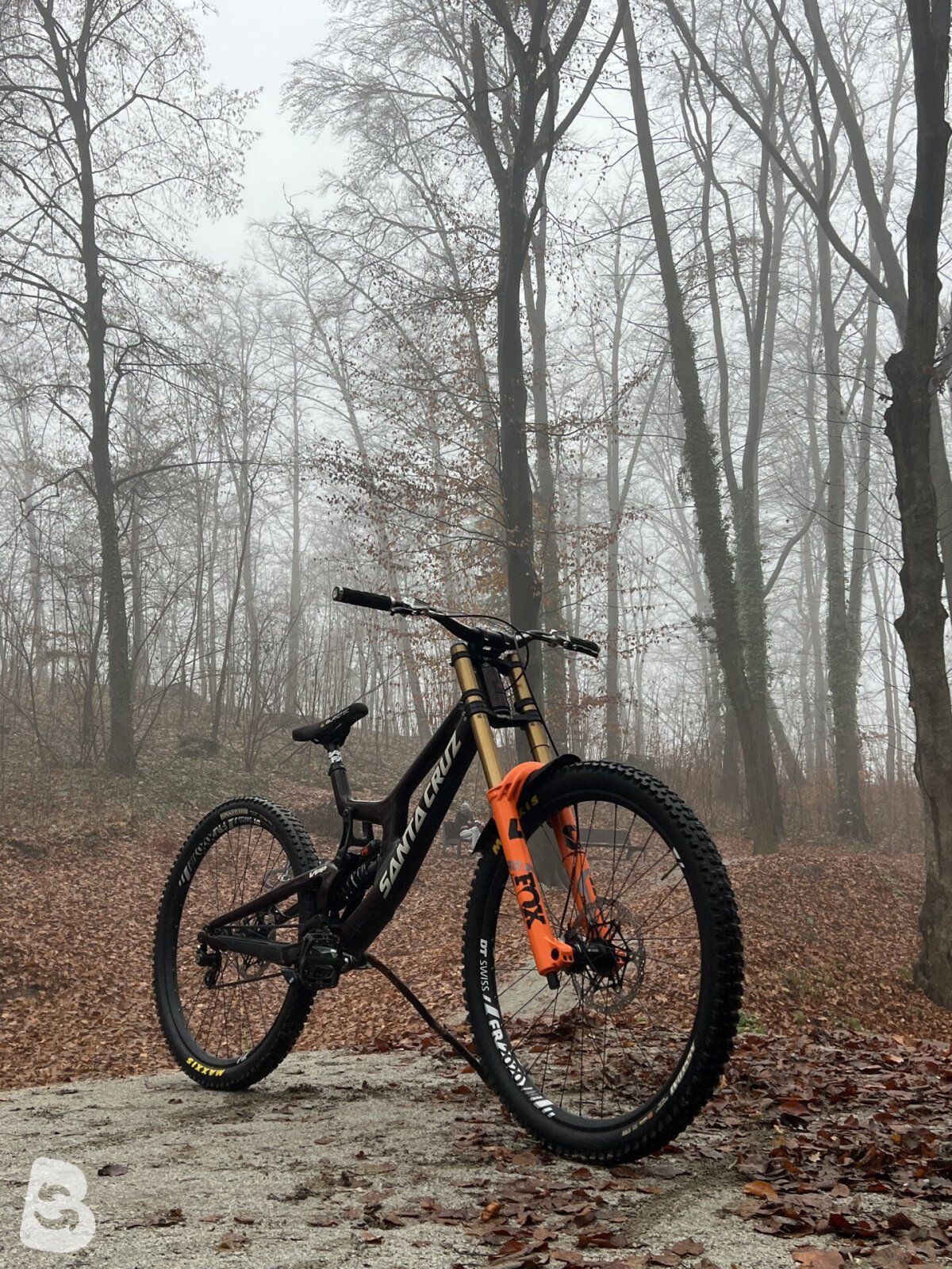 Santa Cruz V10 2019