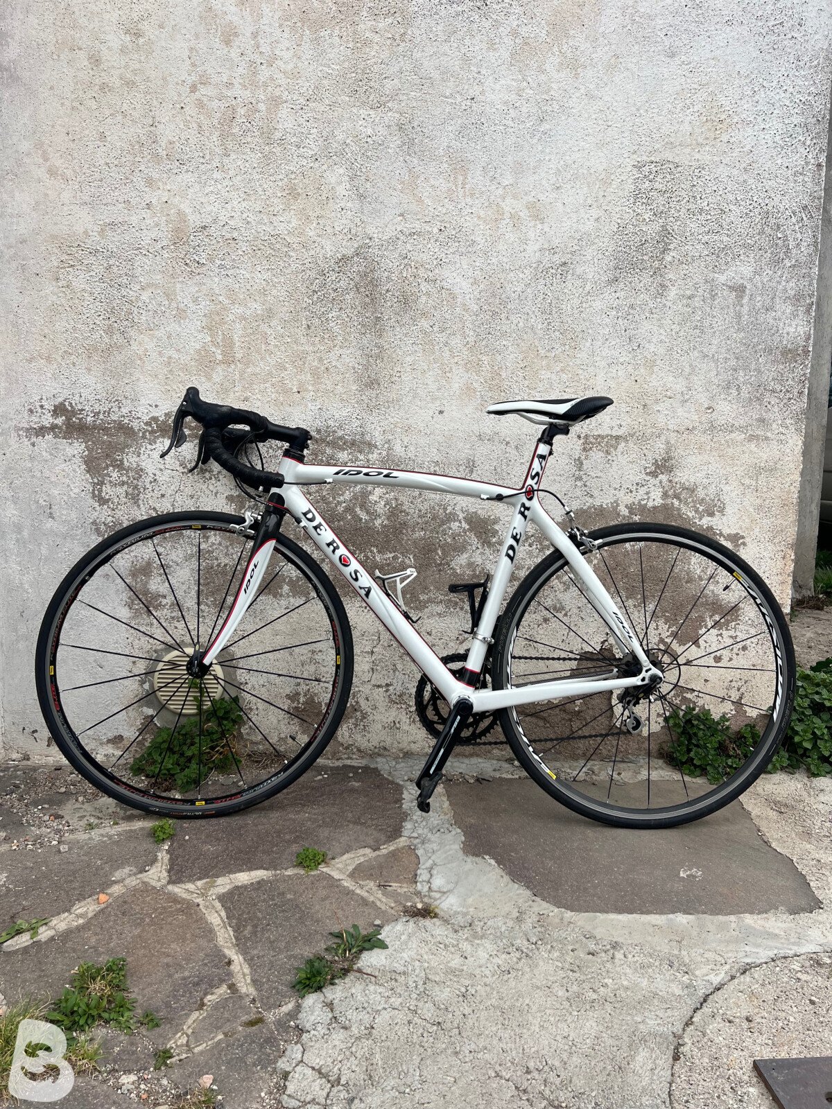 De Rosa Idol 2010