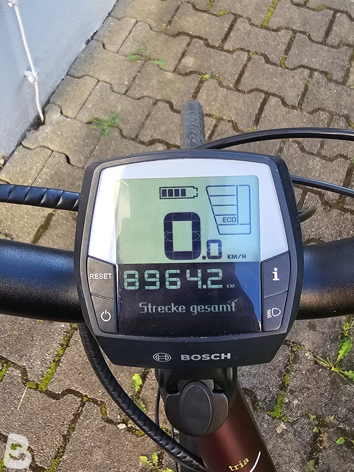 Winora Sinus Tria N7 eco 2018