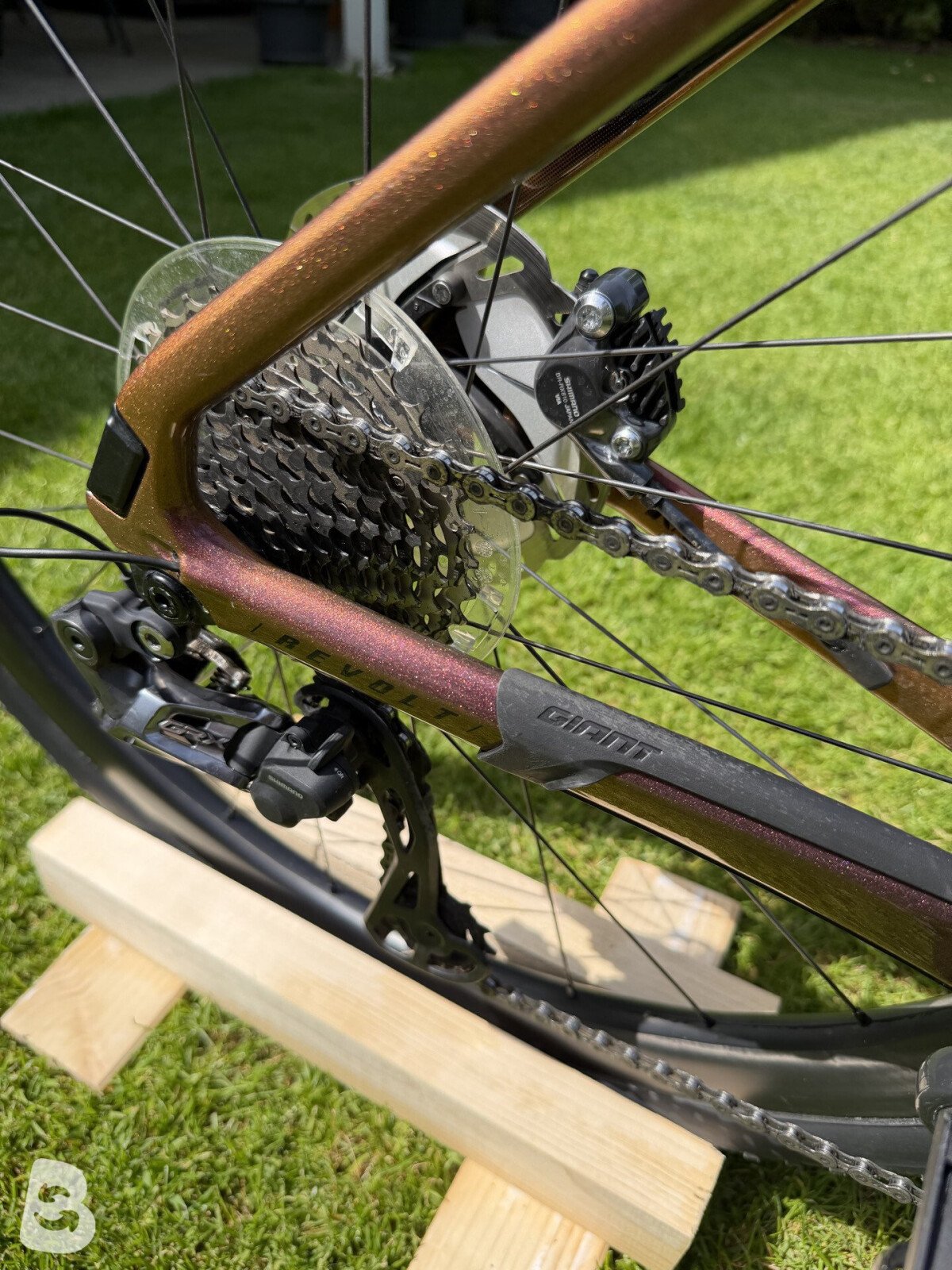 Giant Revolt Advanced Pro 1 2021