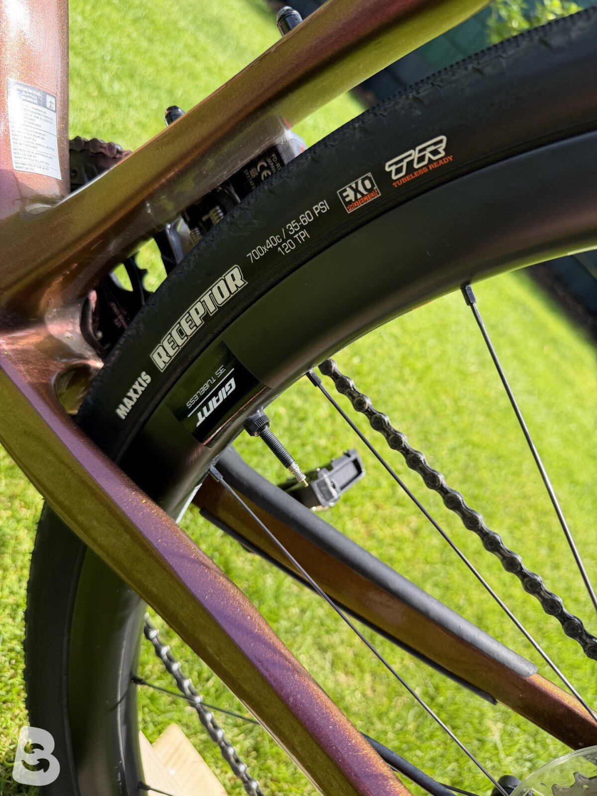 Giant Revolt Advanced Pro 1 2021