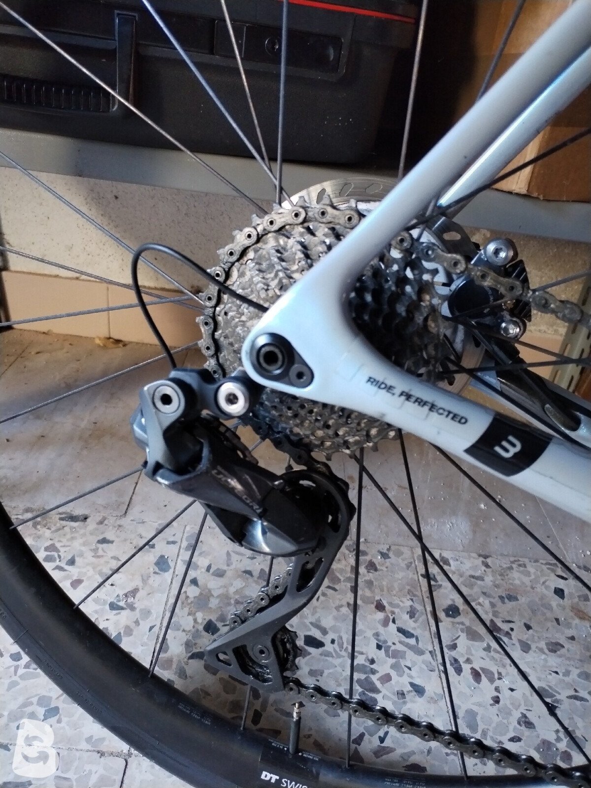 Basso Diamante 2021