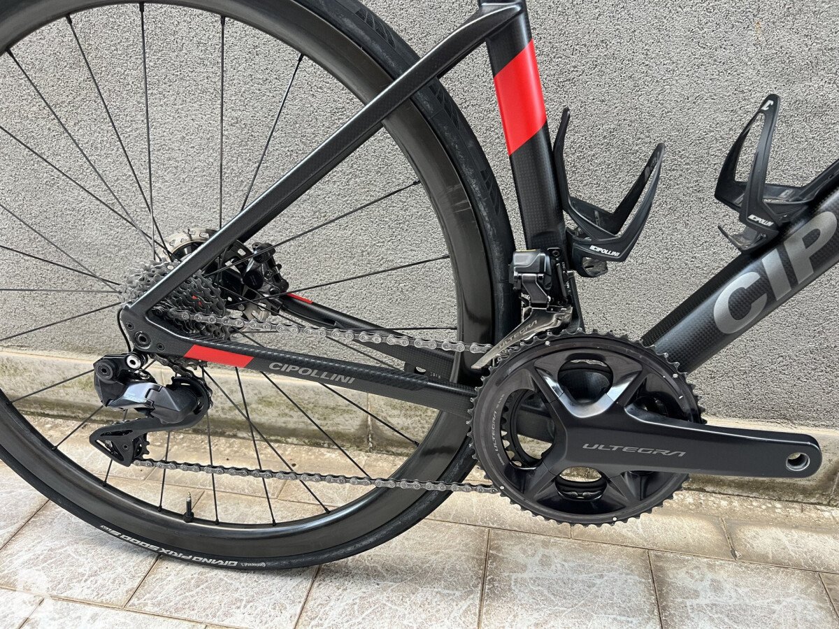 Cipollini Dolomia 2023