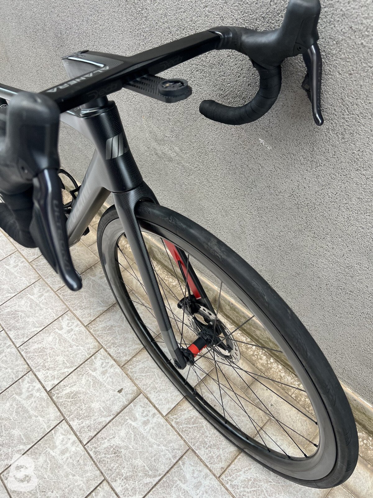 Cipollini Dolomia 2023