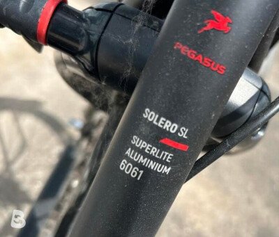 Pegasus Solero SL 2022