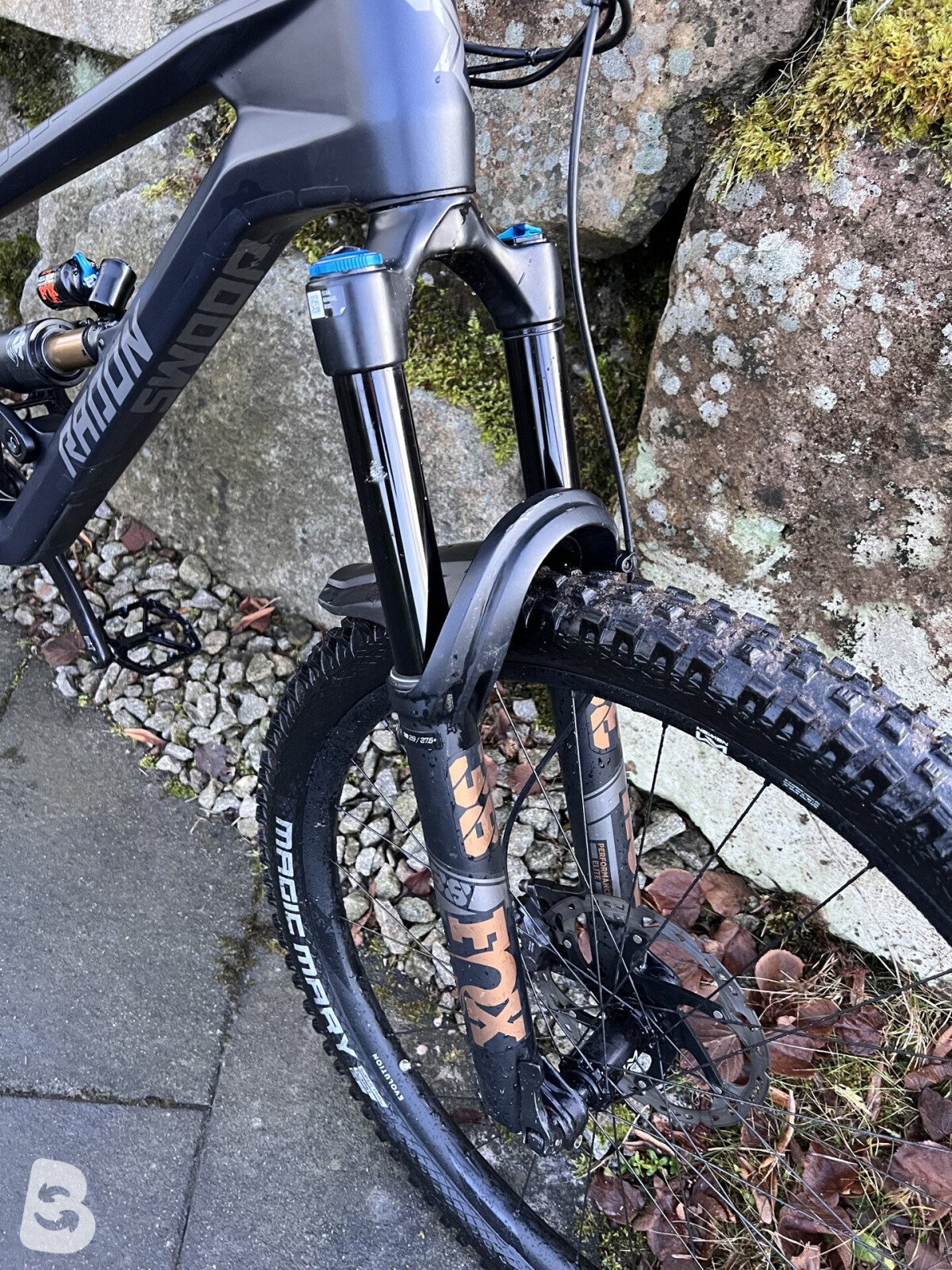 Radon Swoop 10.0 2025