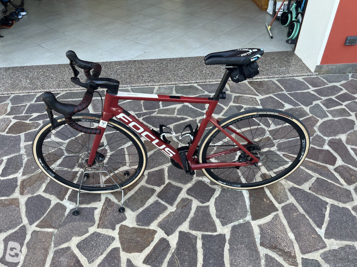 Focus IZALCO MAX DISC 8.8 2021