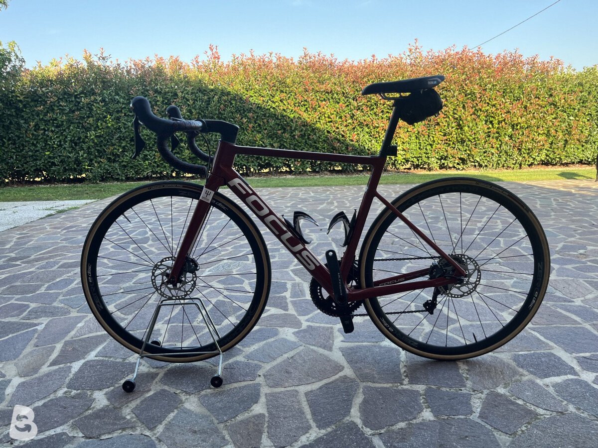 Focus IZALCO MAX DISC 8.8 2021