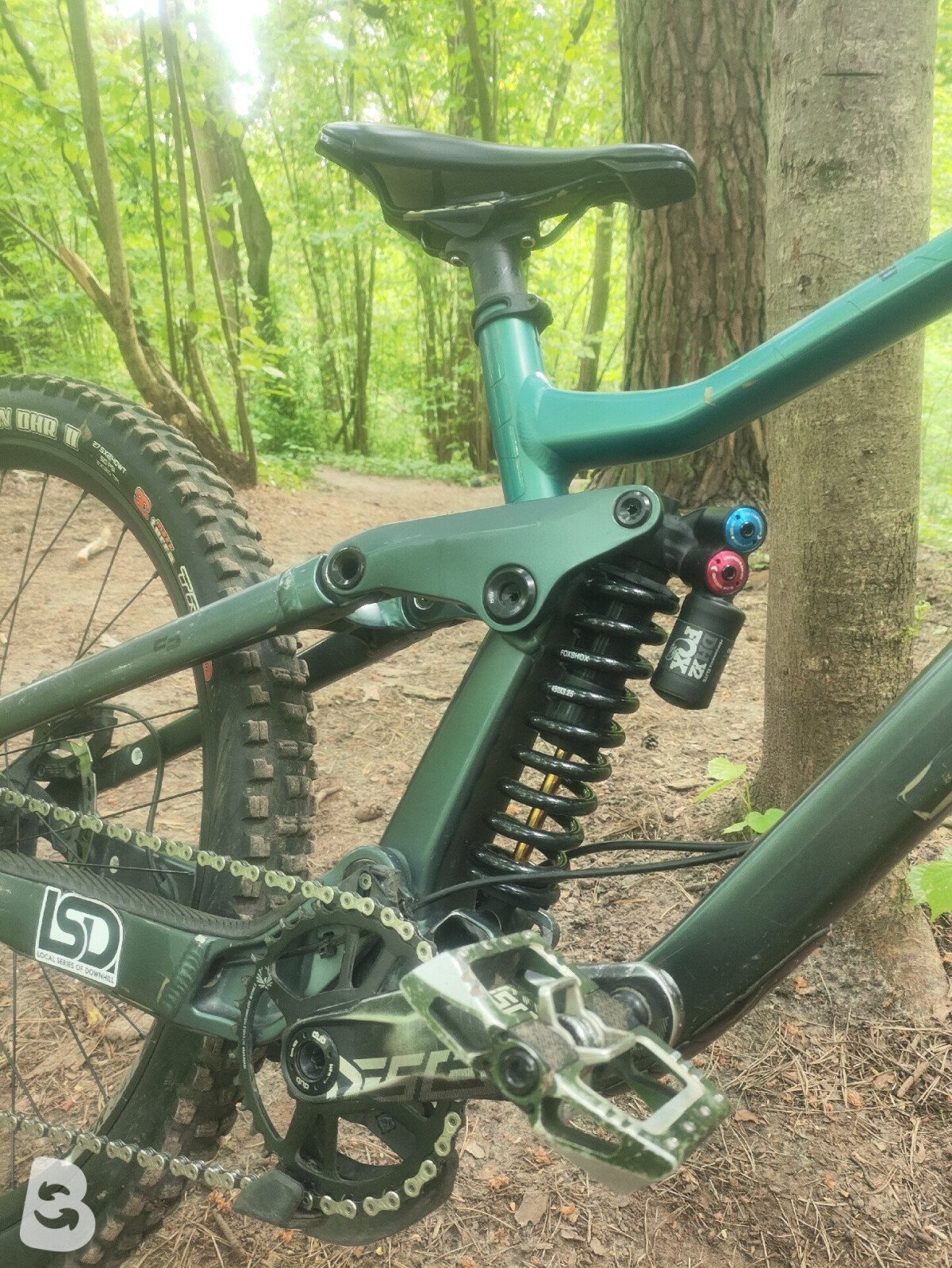 Scott Gambler 910 2023